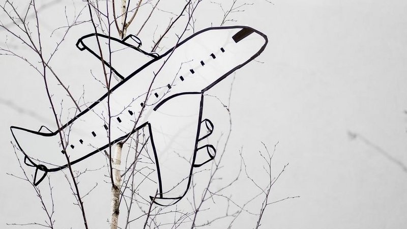 Flugzeug aus Karton hängt in einem Baum